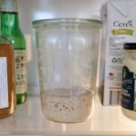 Cara Menyimpan Starter Sourdough (Suhu Ruang Vs Kulkas)