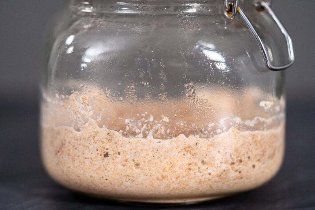 Sourdough Starter Smells Like Acetone – What to Do? Sourdough Starter Smells Like Acetone – What to Do?